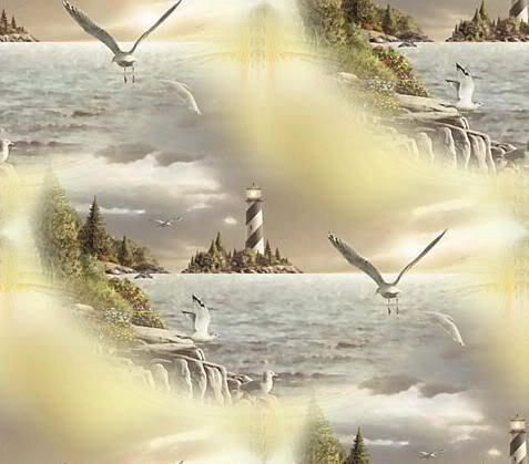 photo seashore1.jpg
